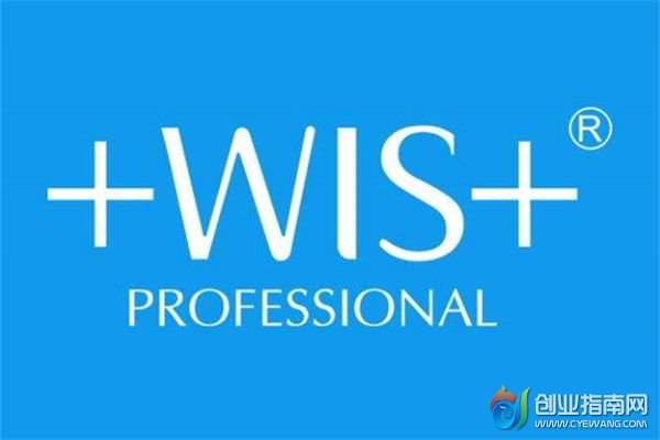 ҵְָֽWISƷ2019δ