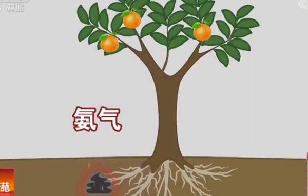 ţ׬ҲܱΪ
