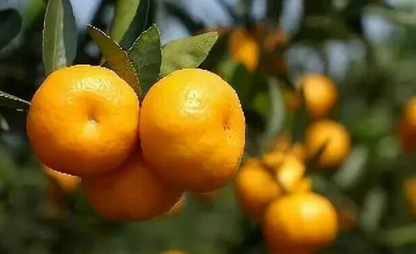 ƻֺ͸ʩ㡰ӷʡù
