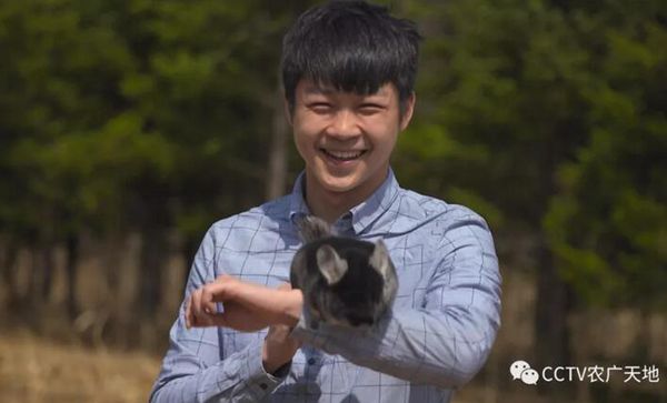 “富二代”葛卫锋变身龙猫达人，靠养龙猫年入300万