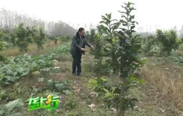 ô죿ר