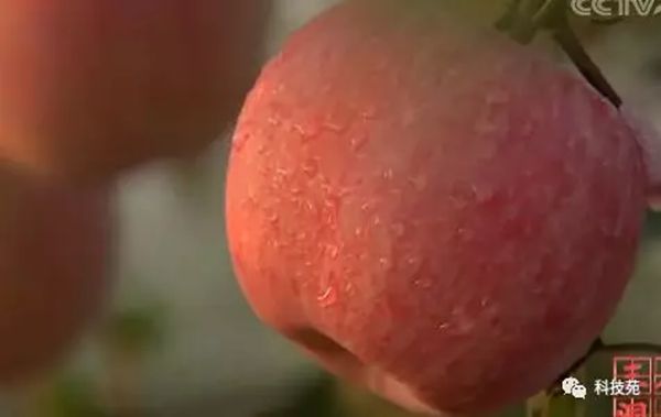 ƻ輯Լ࣬ڡǽϵƻһĲƸ