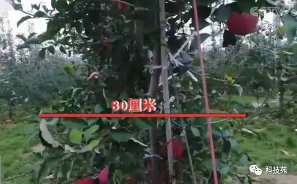 ƻ輯Լ࣬ڡǽϵƻһĲƸ