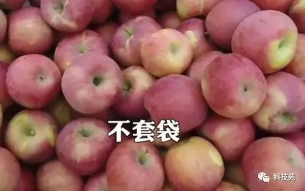 ƻ輯Լ࣬ڡǽϵƻһĲƸ