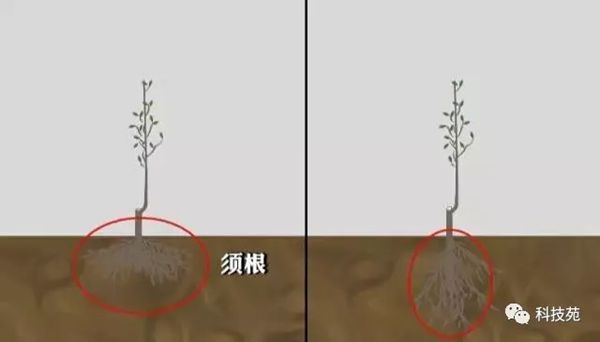 ƻ輯Լ࣬ڡǽϵƻһĲƸ