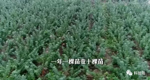 ƻ輯Լ࣬ڡǽϵƻһĲƸ