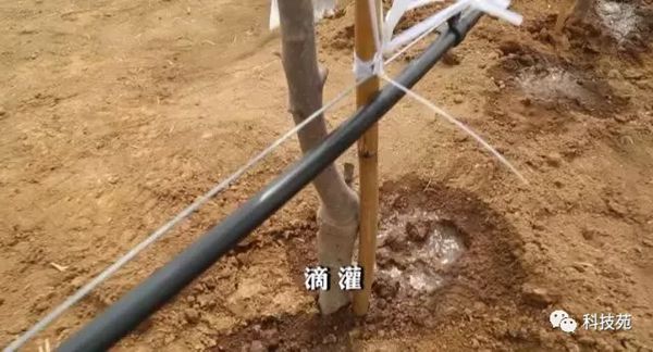 ƻ輯Լ࣬ڡǽϵƻһĲƸ